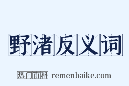 野渚反义词是什么意思的图片
